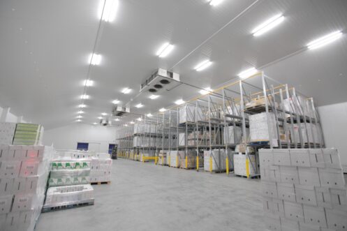 interior of warehouse with concrete floor and refrigerated goods